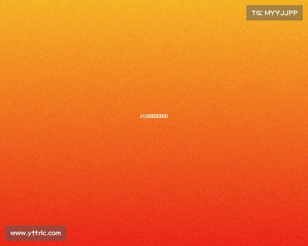 atp挑战赛比分在哪查